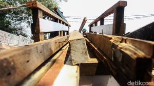 Bisnis Kayu Bekas Pembawa Rejeki
