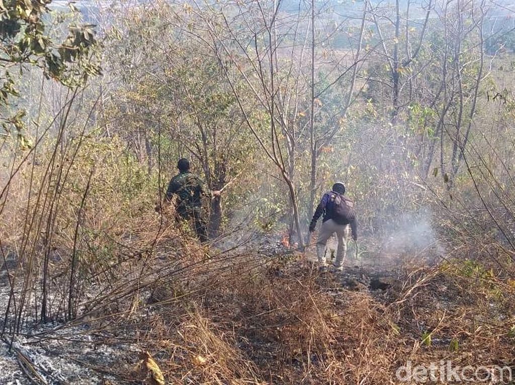 8 Hektar Hutan di Bukit Bentar Probolinggo Terbakar 8 Hektar Hutan di Bukit Bentar Probolinggo Terbakar