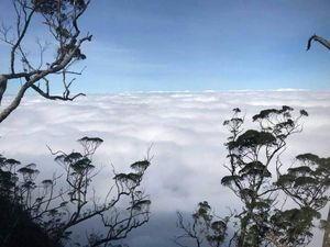 Negeri di Atas Awan Ada Puncak Gunung Mutis