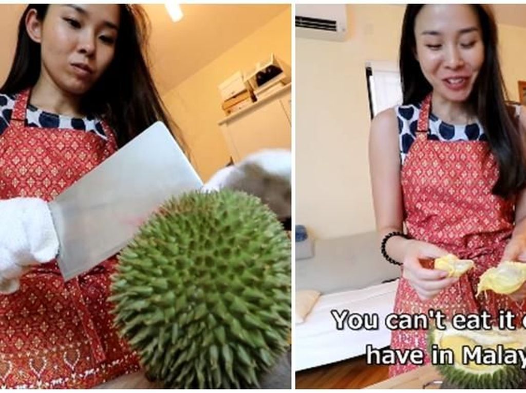 Cicip Durian Musang King di Malaysia, Wanita Jepang Ini Jadi Ketagihan Cicip Durian Musang King di Malaysia, Wanita Jepang Ini Jadi Ketagihan