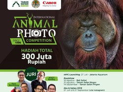 Suka Foto Satwa? Ikut Kompetisi Foto Bergengsi Ini