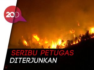 Ngerinya Kebakaran Hutan di Portugal