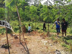 Lokasi Struktur Bata Diduga Situs Kerajaan di Pasuruan Disterilkan