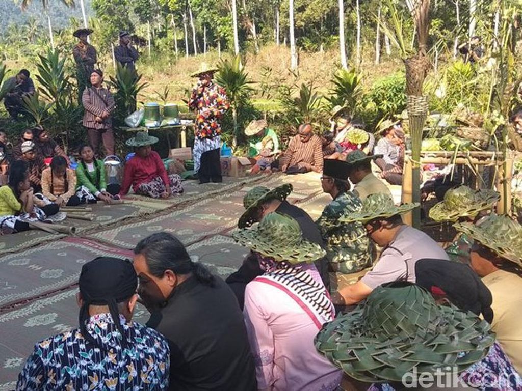 Warga Losari Magelang Gelar Tradisi Wiwitan Jali Warga Losari Magelang Gelar Tradisi Wiwitan Jali
