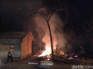 Peternakan di Mojokerto Terbakar, 4 Ribu Ayam Mati Terpanggang Peternakan di Mojokerto Terbakar, 4 Ribu Ayam Mati Terpanggang