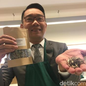 Diplomasi Batik-Teh ala Ridwan Kamil Gaet Investor Inggris-Swedia