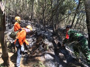 Kebakaran 70 Hektare Gunung Panderman Berhasil Dipadamkan Kebakaran 70 Hektare Gunung Panderman Berhasil Dipadamkan