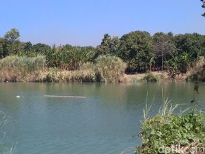 Tim KNKT Kumpulkan Data Penyebab Cessna Jatuh di Indramayu