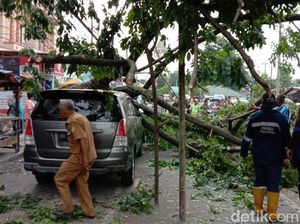 Angin Kencang di Medan Sebabkan Pohon Tumbang, Timpa 3 Mobil