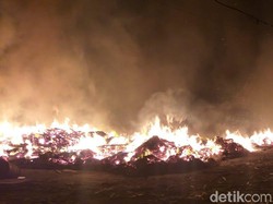 Pabrik Pengolahan Kayu di Probolinggo Terbakar