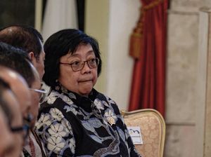 Lahan Ibu Kota Baru Rawan Kebakaran, Ini Kata Menteri LHK Lahan Ibu Kota Baru Rawan Kebakaran, Ini Kata Menteri LHK