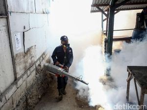 Ada 55 Kasus DBD di Rembang, Satu Meninggal