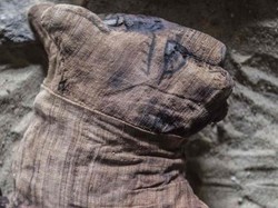 Enggak Nyangka! Kucing Begitu Dipuja di Zaman Mesir Kuno