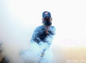 Melihat Aksi Pemburu Nyamuk Penyebab DBD
