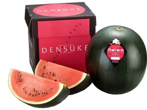 11 Makanan Berharga Super Mahal yang Jadi Santapan Orang Kaya