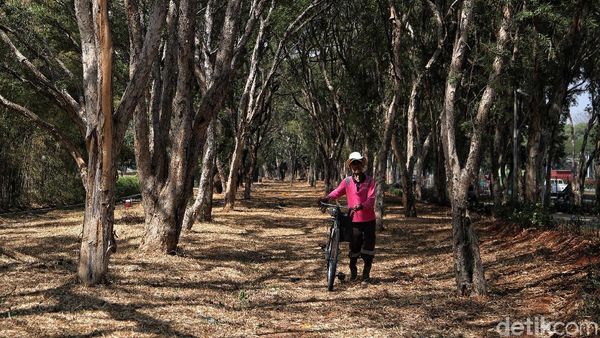 Kemarau! Taman Kemayoran Kekeringan