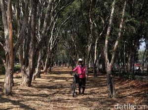 Kemarau! Taman Kemayoran Kekeringan