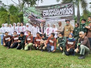 Istri Kapolri dan Istri Menko Polhukam Adopsi Bayi Orang Utan