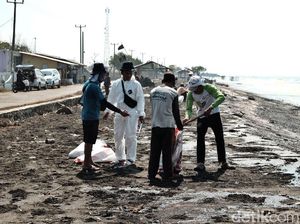 Warga Ramai-ramai Bersihkan Pantai dari Tumpahan Minyak