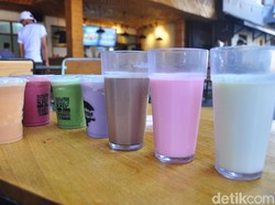 Di Susu Moeria yang  Berusia 81 Tahun Ini Masih Bisa Minum Susu Sapi Murni