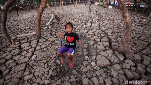 Tanah Retak Akibat Kemarau Jadi Tempat Wisata Baru di Tangerang
