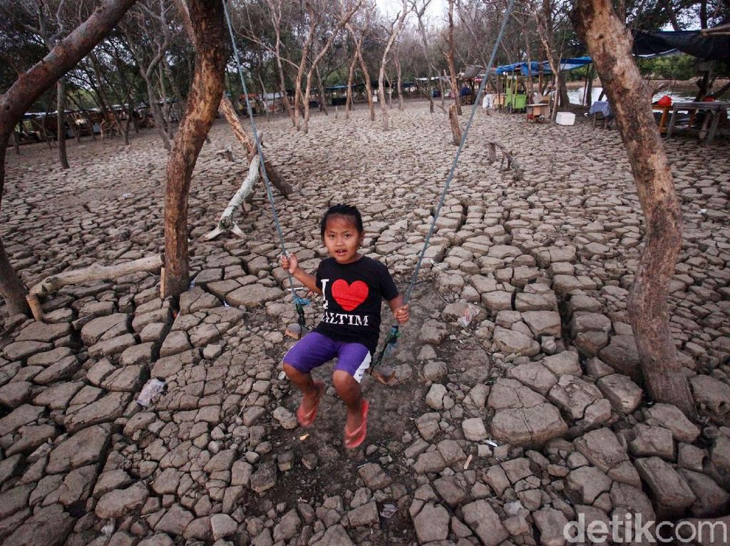Tanah Retak Akibat Kemarau Jadi Tempat Wisata Baru di Tangerang Tanah Retak Akibat Kemarau Jadi Tempat Wisata Baru di Tangerang