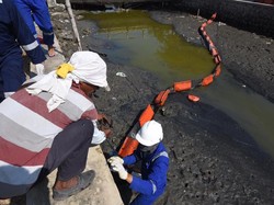 Pertamina Bersihkan Pantai Laut Jawa dari Tumpahan Minyak