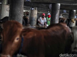 Pemprov DKI Imbau Warga yang Berkurban Tak Datang ke Lokasi Pemotongan