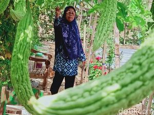 Warga Wonogiri Kembangkan Pertanian Hemat Air dan Anti Harga Jatuh Warga Wonogiri Kembangkan Pertanian Hemat Air dan Anti Harga Jatuh