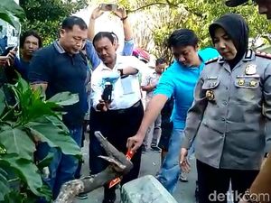 Sesosok Mayat Bayi dalam Kresek Ditemukan Warga di Selokan Tegal