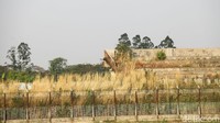 Tribun stadion juga tak terawat.
