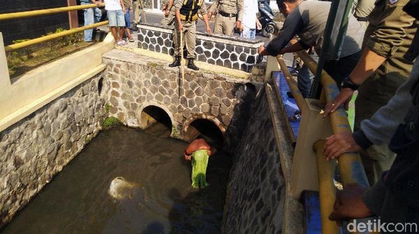 Meresahkan Warga, Pria Kolor Ijo Ditangkap Satpol PP