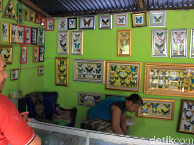 Foto: Aneka Suvenir Kupu-kupu Lucu dari Maros