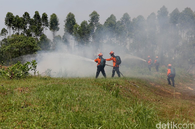 Hari Ke-10 Pemadaman Kebakaran Lahan Gambut di Riau