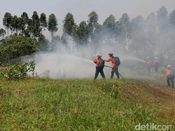 Karhutla di Palangkaraya Meluas Dekati Bandara Tjilik Riwut