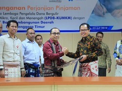 LPDB Kucurkan Dana Bergulir untuk Peternak Sapi di Kupang