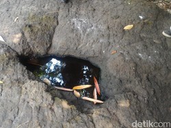 Ada Sumur Keramat di Lokasi Ibu-anak Dirikan Tenda di Hutan