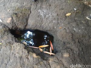 Ada Sumur Keramat di Lokasi Ibu-anak Dirikan Tenda di Hutan Ada Sumur Keramat di Lokasi Ibu-anak Dirikan Tenda di Hutan