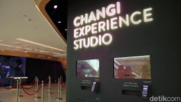 Makin Nyaman Transit di Bandara Changi dengan Fasilitas Interaktif Ini