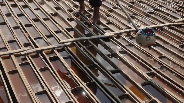 Melihat Lebih Dekat Pembuatan Garam Langka Khas Grobogan