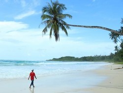 Bertualang di Simeulue, Pulau Surga Penghasil Lobster