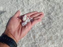 Kartel: Pengertian, Jenis, dan Dampak terhadap Perekonomian