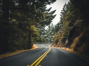 Percaya Nggak Percaya, Ini Jalan Kematian yang Banyak Hantu