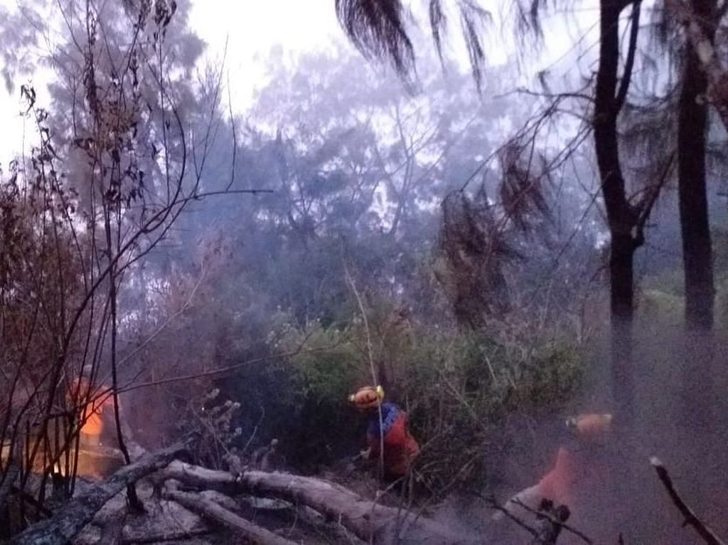 Bara dan Titik Api Masih Muncul di Gunung Panderman Bara dan Titik Api Masih Muncul di Gunung Panderman