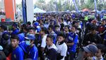 Jalak Harupat Membiru