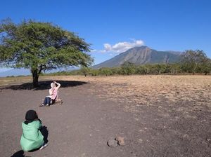 Selamat Datang di Baluran: Afrika Ala Jawa