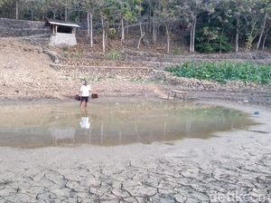 Musim Kemarau, Ratusan Telaga di Gunungkidul Mulai Mengering