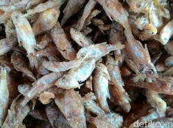 Ikan Wader, Si Mungil yang Kriuk Renyah Jadi Menu Andalan Warung