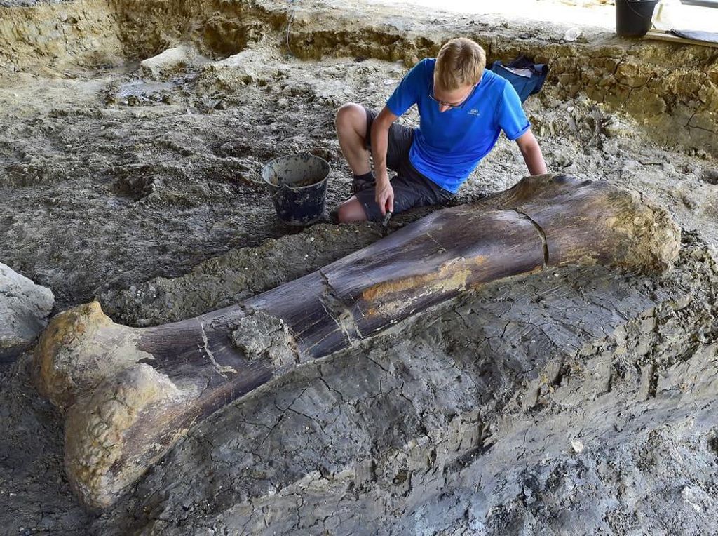 Bikin Takjub! Tulang Dinosaurus Raksasa Ditemukan Masih Utuh di Prancis