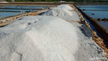 Berita dari Detik Finance: RI Bakal Setop Impor Garam Industri 2027